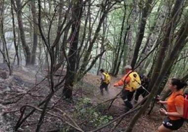 Спасиха от огнено бедствие хотелски комплекс и 23 вили край Велинград