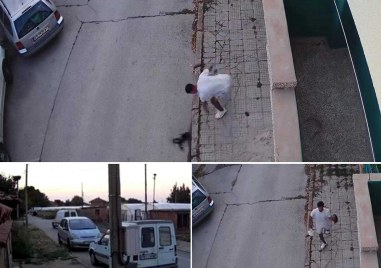 Ужасяващо! Насилието над животни и умъртвяването им не спира, убиха умишлено коте и куче