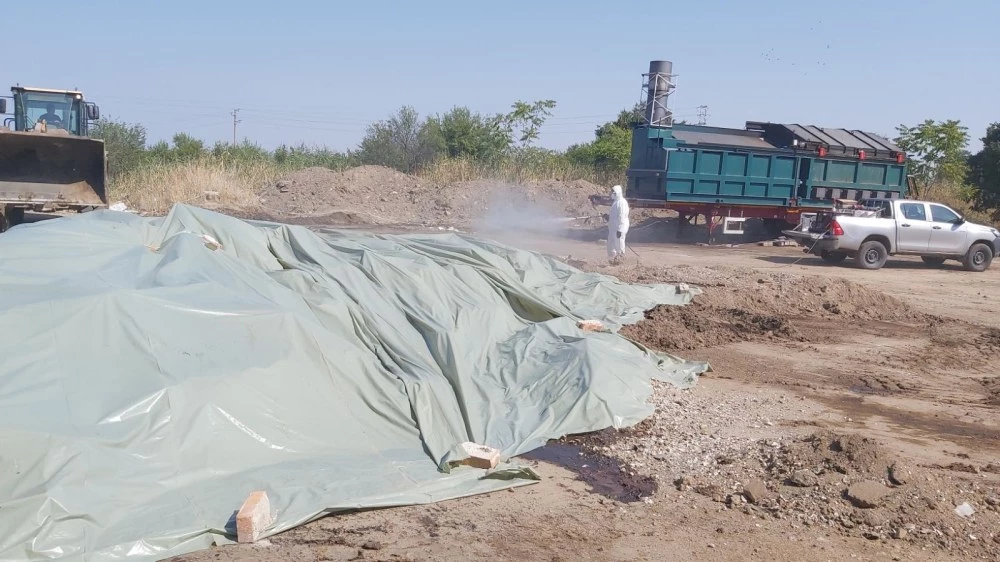 119 огнища на шарка в Пловдивска област, засегнати са близо 12 000 животни