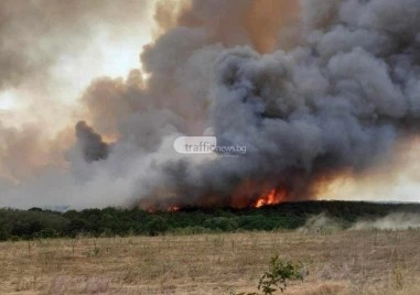 Голям пожар избухна в Хасковско