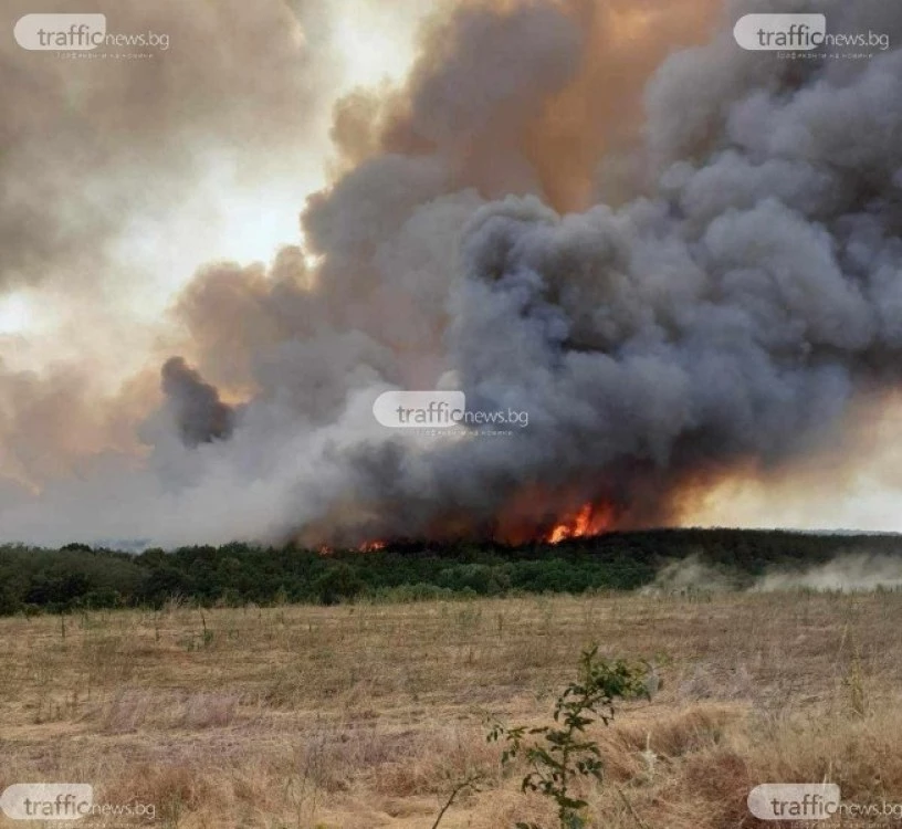 Голям пожар избухна в Хасковско