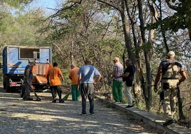 Разчистиха паднали дървета до Нимфеума, но състоянието на Бунарджика е трагично