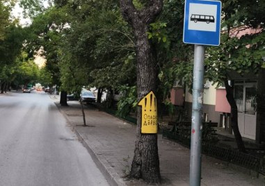Жители на Кючука се включиха в борбата с опасните дървета, направиха табели за предупреждение