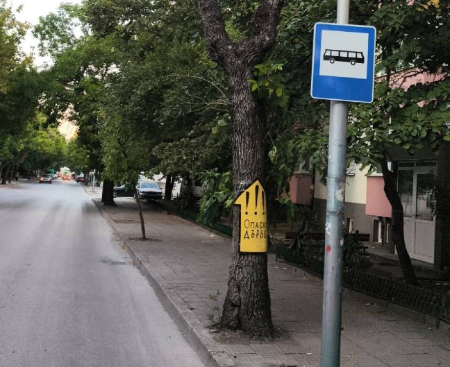 Жители на Кючука се включиха в борбата с опасните дървета, направиха табели за предупреждение