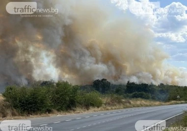 Сухи треви пламнаха край Пловдив съобщиха от Пожарната за TrafficNews