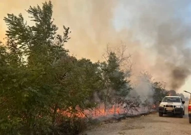 Пожарът в Сакар планина обхвана 5000 декара, огънят се разраства