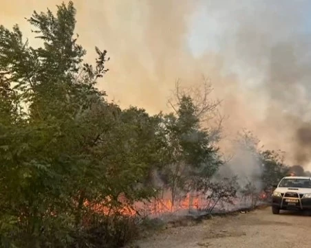 Пожарът в Сакар планина обхвана 5000 декара, огънят се разраства