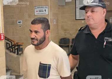 ДНК експертиза разобличи рецидивиста, нападнал с нож крупие в Пловдивско