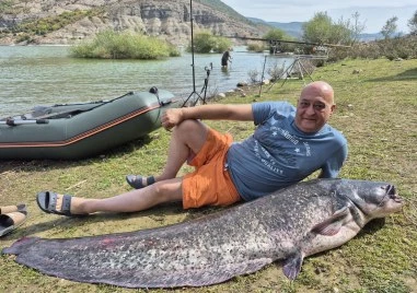 Гигантски улов! Извадиха 60-килограмов сом на кльонк от язовир Кърджали
