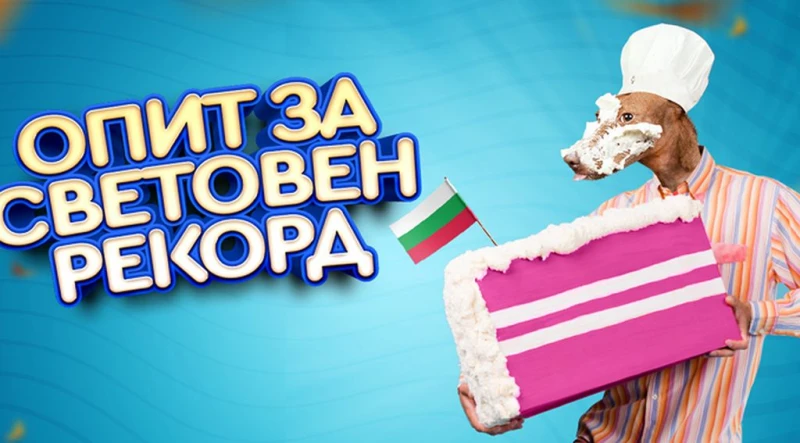 Пловдивски ветеринар и кучешки готвач с опит да влезе в Книгата на Гинес с гигантска кучешка торта