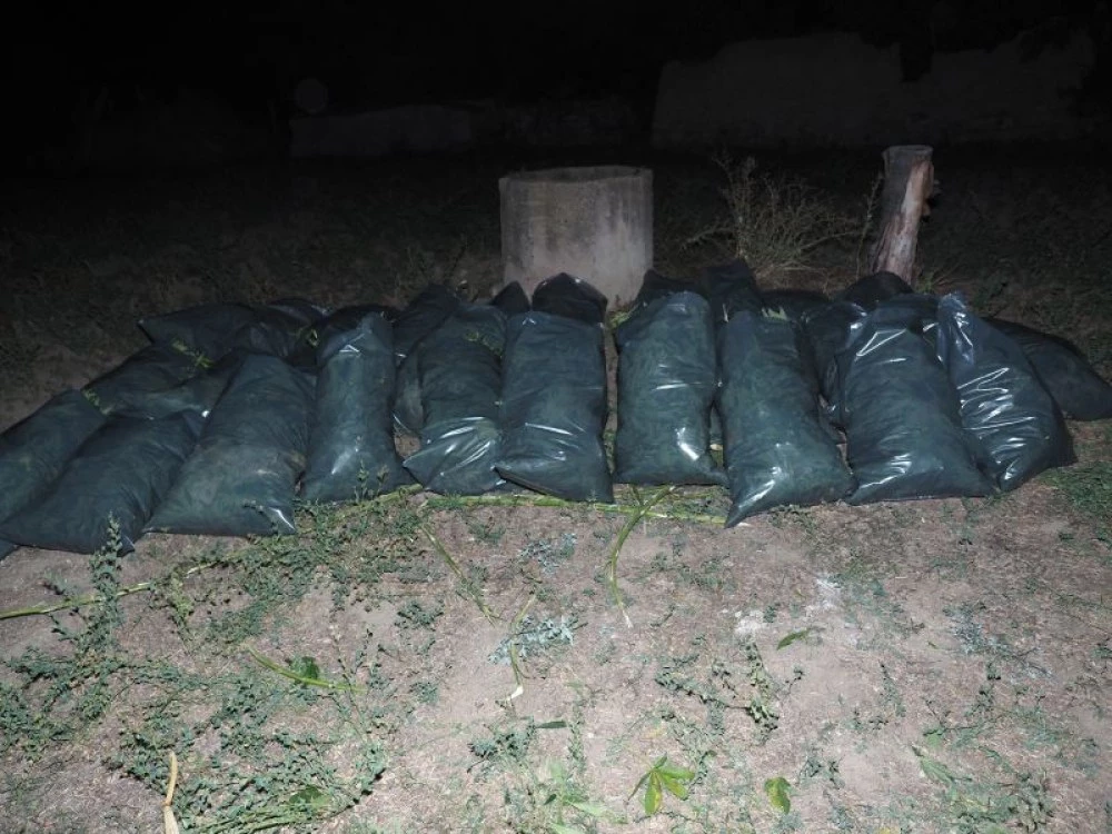Полицията откри близо 30 килограма марихуана в имот край Пазарджик