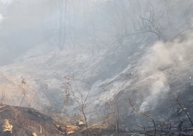 Големият пожар в над Горнослав е овладян след мащабна операция