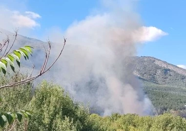 Шест екипа пожарникари пазят гората над Горнослав, спря електричеството в района