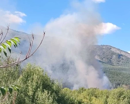 Шест екипа пожарникари пазят гората над Горнослав, в района се образува задръстване
