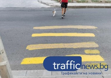 Още утре коригират скандалната зебра на бул. „Александър Стамболийски в Кючука