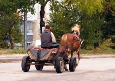 Каруца блъсна велосиппедистка в Раковски