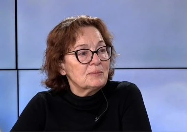 Румяна Коларова: Веднага щом Румен Радев стане политически лидер ще излязат олигархични зависимости