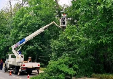 Два екипа на ОП Градини и паркове ще дежурят във връзка с прогнозата за лошо време