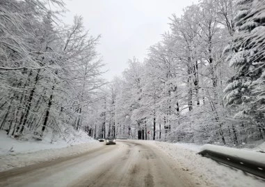 Отвориха за движение прохода Петрохан