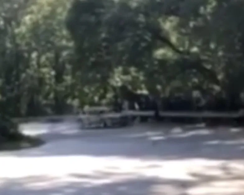 Показаха ВИДЕО от фаталния инцидент със загинали и ранени във Варна