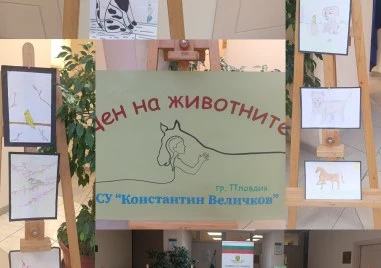 „Месец на животните и хората, които ги обичат започна в район „Южен
