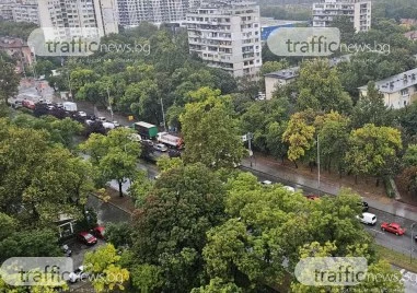 Дъждът отново блокира трафика в Пловдив, дърво падна в двора на Военна болница