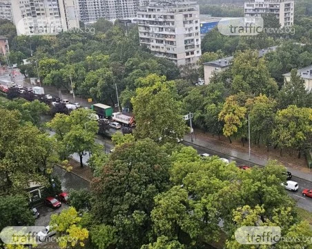 Дъждът отново блокира трафика в Пловдив, дърво падна в двора на Военна болница