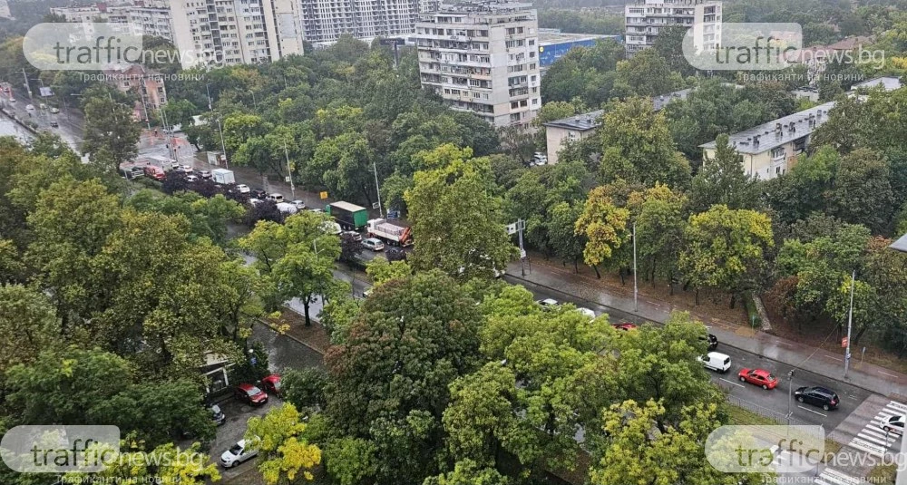Дъждът отново блокира трафика в Пловдив, дърво падна в двора на Военна болница