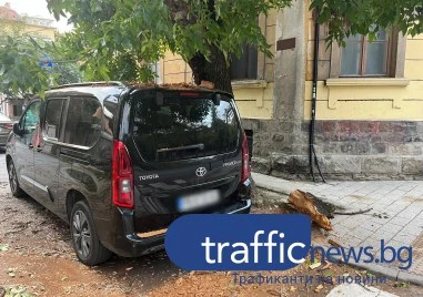 Природа или немарливост? Автомобил, паркиран в центъра на Пловдив, осъмна с щети