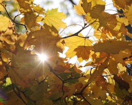 Проф. Рачев каза кога идва 