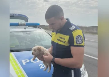 Полицаи от Елхово спасиха живота на кученце, захвърлено в торба на пътя и полузадушено