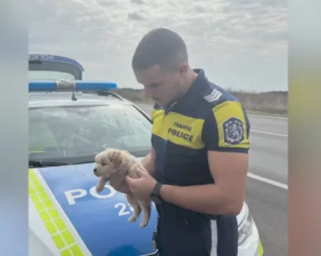 Полицаи от Елхово спасиха живота на кученце, захвърлено в торба на пътя и полузадушено