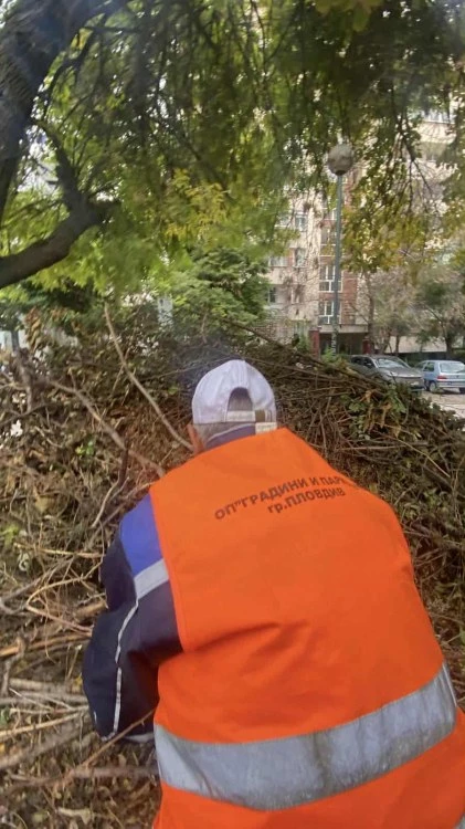 Екопроект в центъра на Пловдив се срина в хаоса на общинската комуникация ВИДЕО