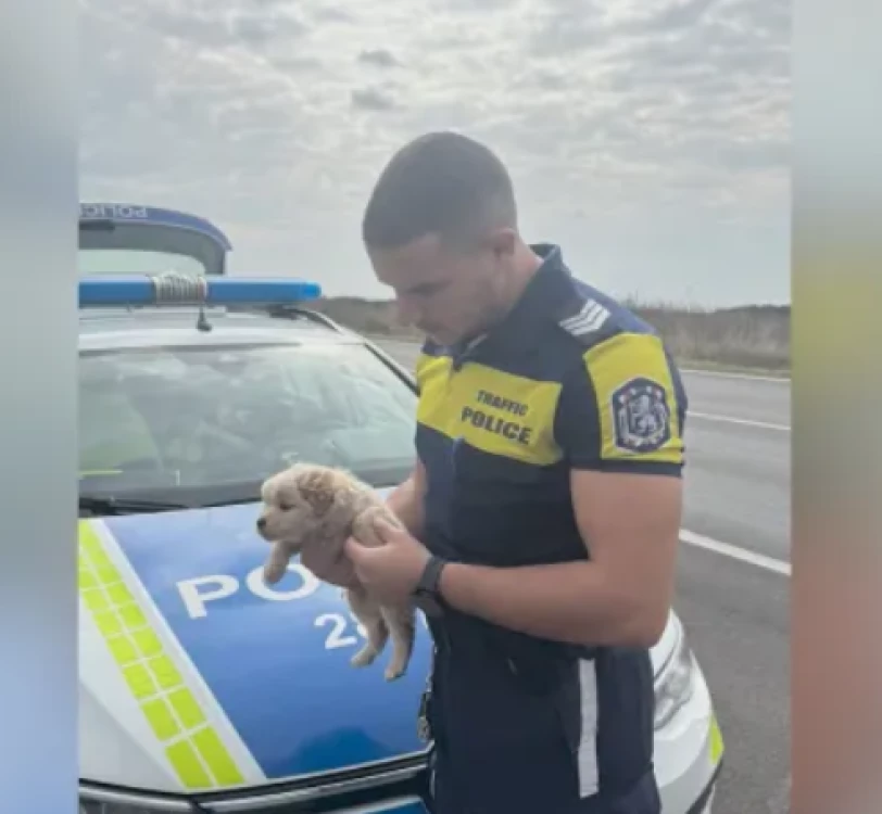 Полицаи от Елхово спасиха живота на кученце, захвърлено в торба на пътя и полузадушено
