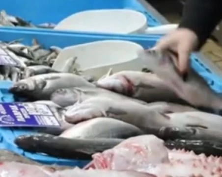 Цената на рибата у нас се покачва, няма улов на паламуд
