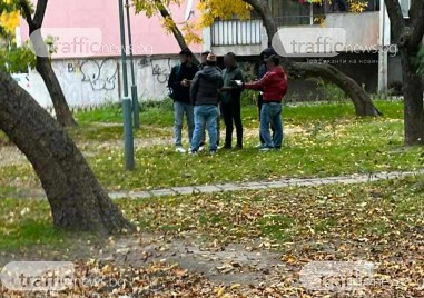 Куриоз! Мнителни граждани се притесниха от трафик на мигранти в Пловдив, вдигнаха на крак полицията