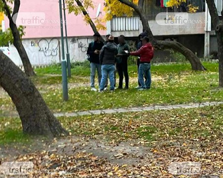 Куриоз! Мнителни граждани се притесниха от трафик на мигранти в Пловдив, вдигнаха на крак полицията
