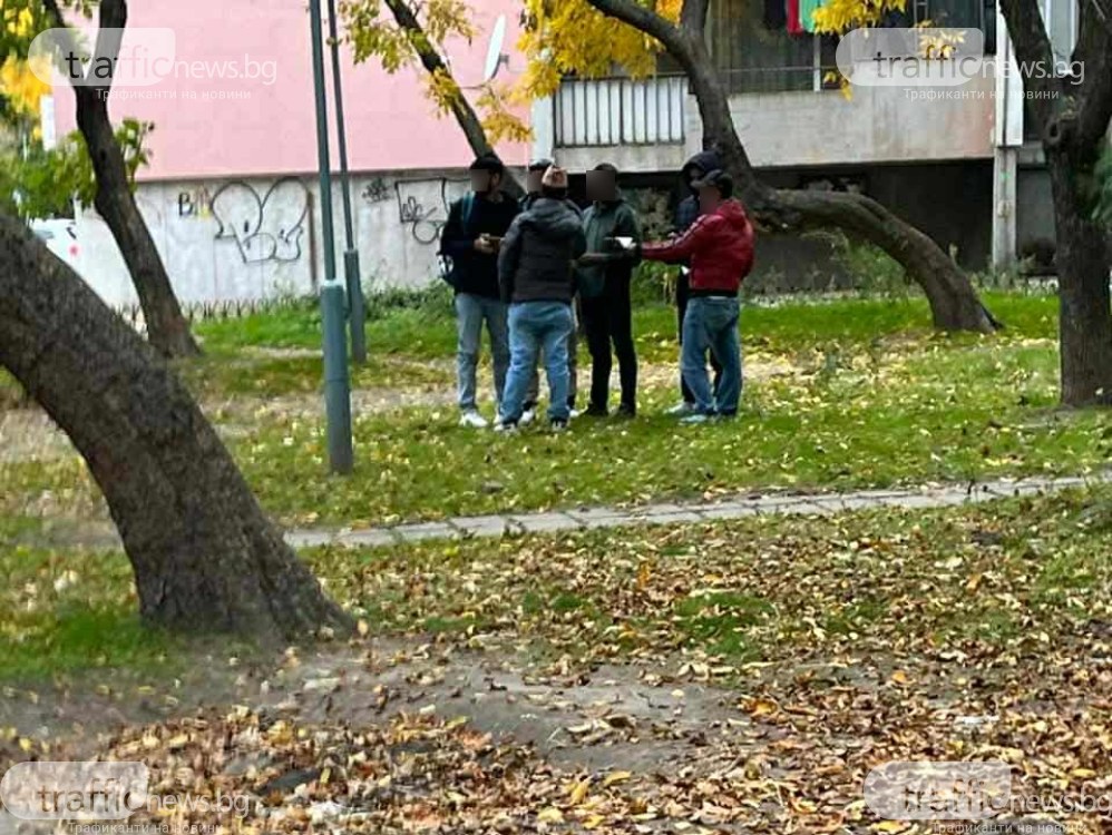Куриоз! Мнителни граждани се притесниха от трафик на мигранти в Пловдив, вдигнаха на крак полицията