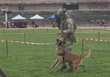 Спортен празник и демонстрация на способности на въоръжените сили в Пловдив ВИДЕО