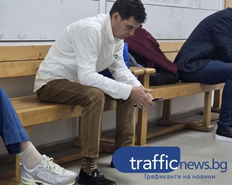 Делото за разкъсаната от питбул котка е на финалната права, глобиха последния свидетел