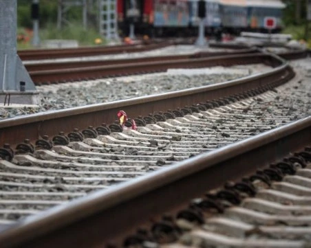 Млад нидерландец е блъснатият от влак край Варна