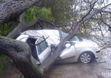 Обезобразена в ужасяващ инцидент на пътя жена осъди АПИ, поиска половин милион обезщетение