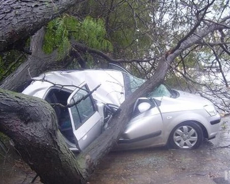 Обезобразена в ужасяващ инцидент на пътя жена осъди АПИ, поиска половин милион обезщетение
