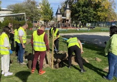 Район „Западен с поредна инициатива за залесяване и облагородяване