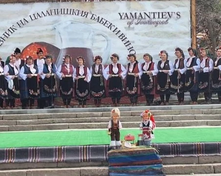 Община „Родопи