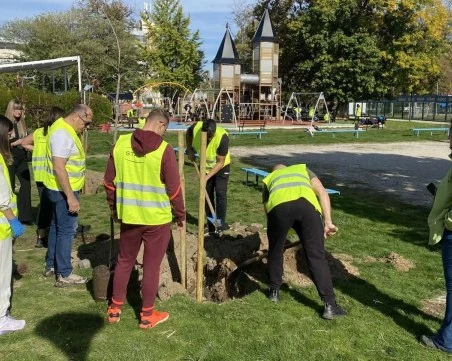 Район „Западен