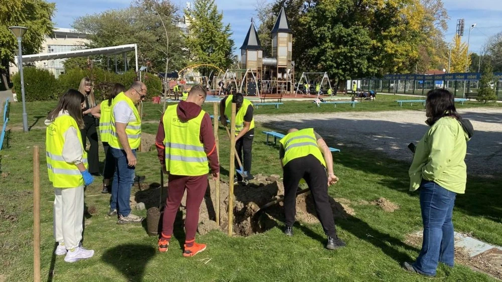 Район „Западен