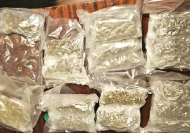 Мащабна акция в Пловдив: 94 са задържани и близо 9 килограма наркотици са иззети