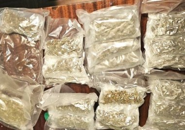 Мащабна акция в Пловдив: 94 са задържани и близо 9 килограма наркотици са иззети