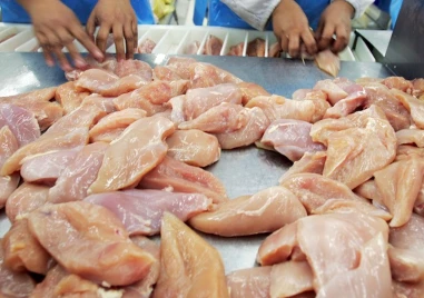 Установиха 35 тона съмнително месо без документи в българска транжорна